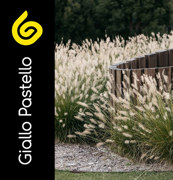Arredare un giardino piccolo - Giallo Pastello