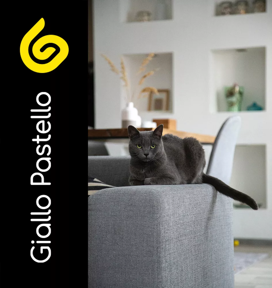 Divani per cani e gatti - Pet Design - Giallo Pastello