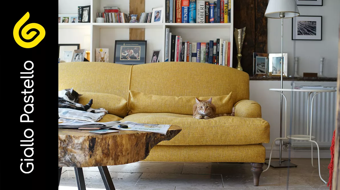 Come tenere gli animali in casa - Pet Design - Giallo Pastello