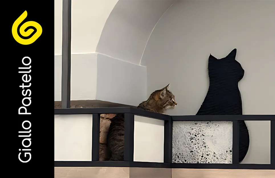 Percorso per gatti: la filosofia - Giallo Pastello