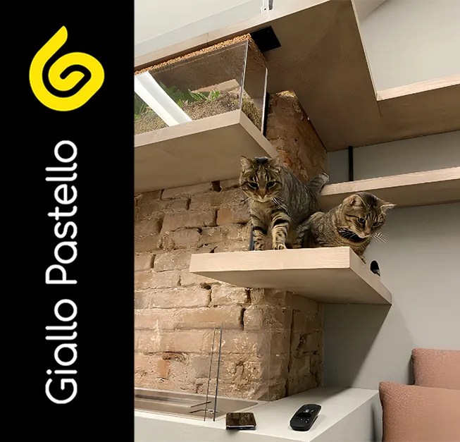 Percorso per gatti: symbiocat design - Giallo Pastello