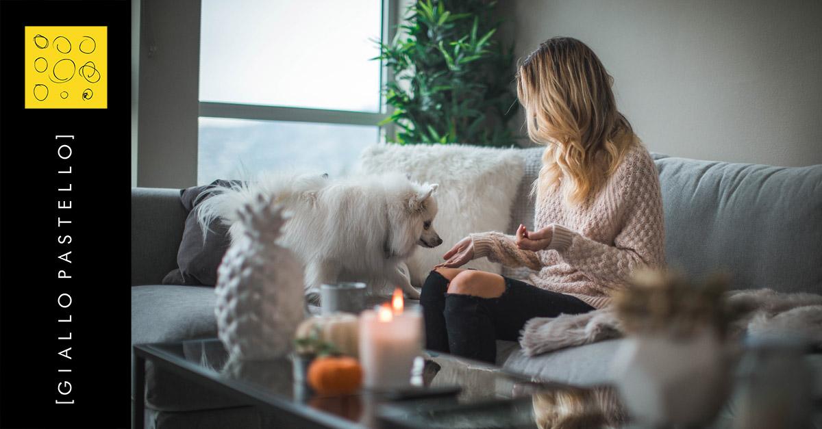 Vivere con gli animali in casa: è anche questione di Pet Design