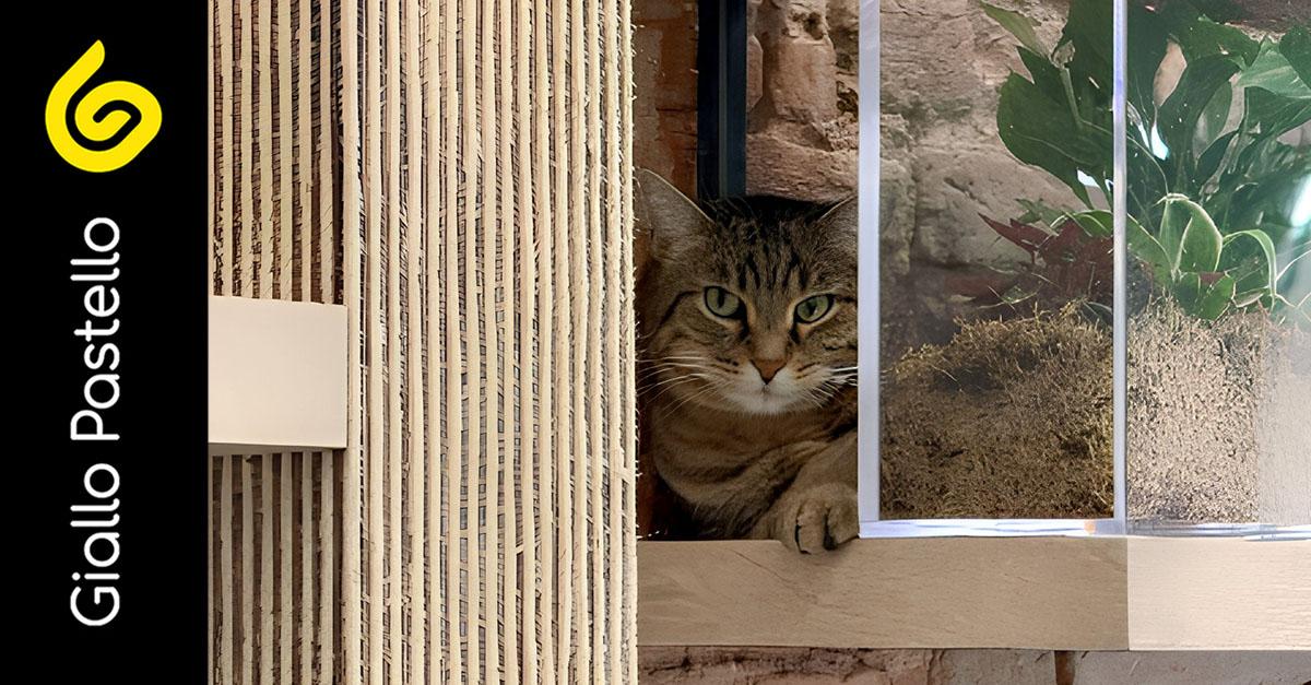 Percorso per gatti: SymbioCat Design, gli arredi su misura dove design e benessere si incontrano